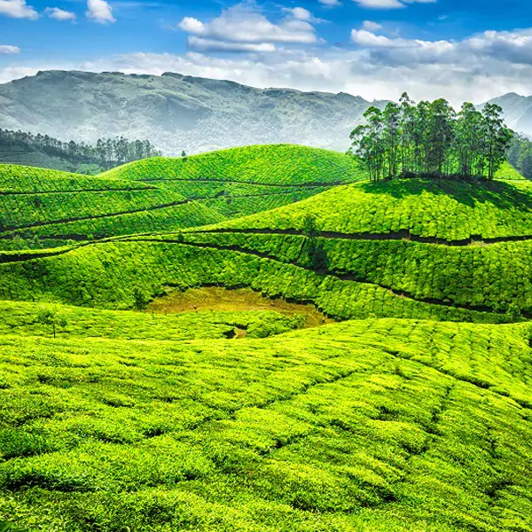 SOUTHERN DISCOVERY OF INDIA.jpg
